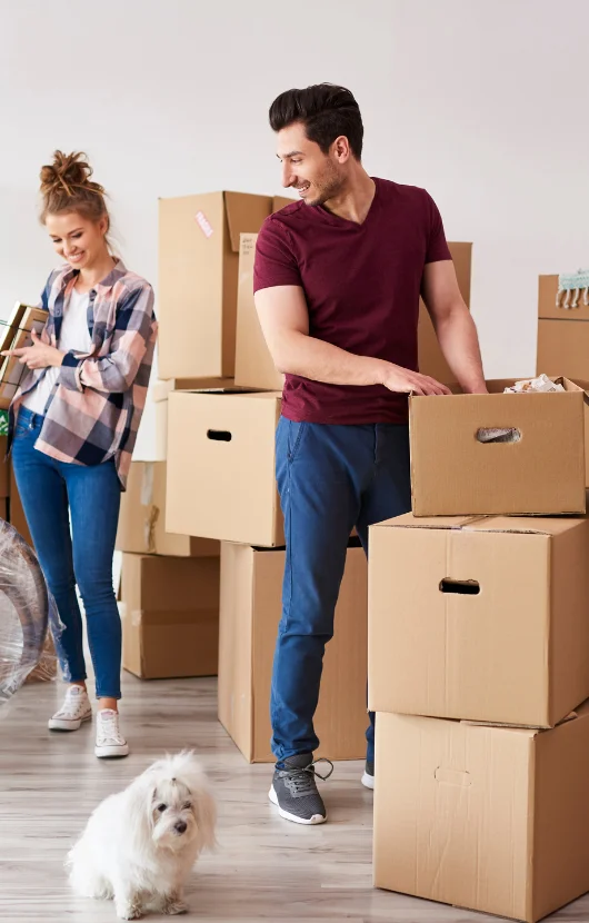 Packers and Movers in Dubai and Abu Dhabi