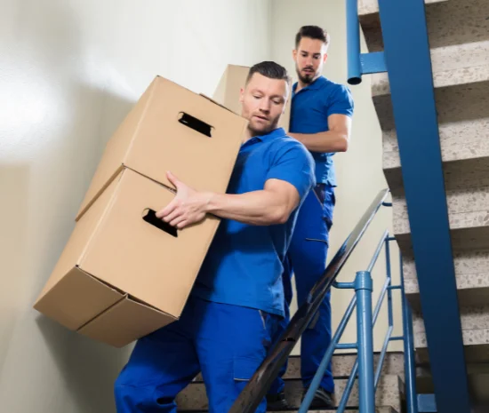 Packers and Movers Near Me in Dubai and Abu Dhabi