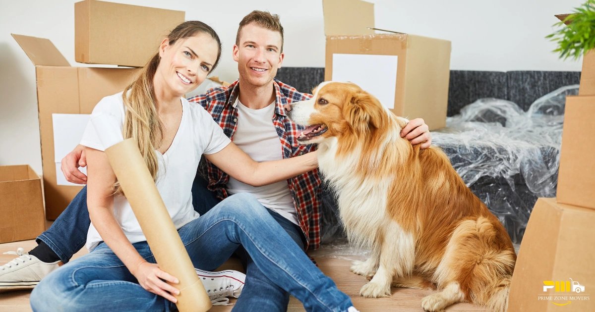 Moving House With Pets in Dubai: Safe Moving-Day Checklist